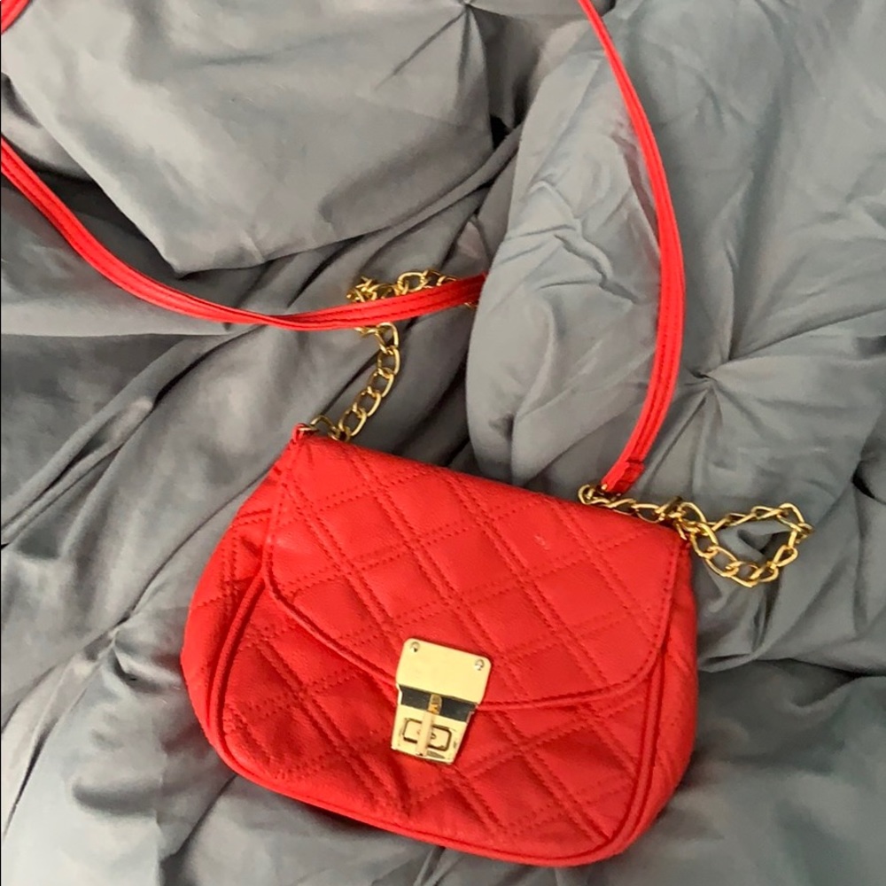 coral and gold purse